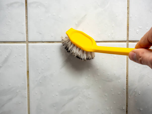 Reliable Quinlan, TX Mold Remediation Solutions