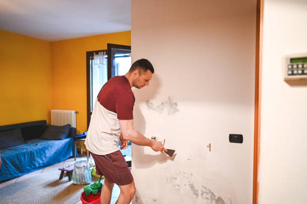 Best Residential Mold Remediation in Quinlan, TX